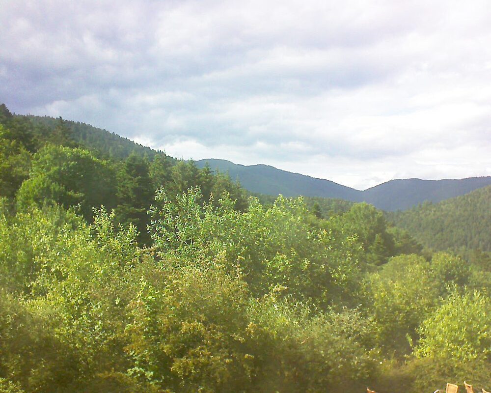 Le petit ballon vu depuis le Domaine Langmatt à Murbach le 15.06.2024 à 17:15 Le petit ballon (Alsace, Vosges) le 15.06.2024 à 17:15