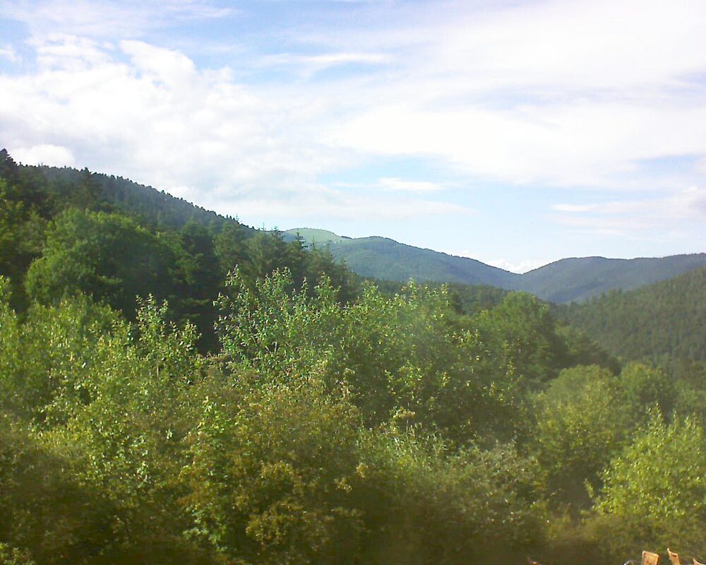 Le petit ballon vu depuis le Domaine Langmatt à Murbach le 15.06.2024 à 17:45 Le petit ballon (Alsace, Vosges) le 15.06.2024 à 17:45