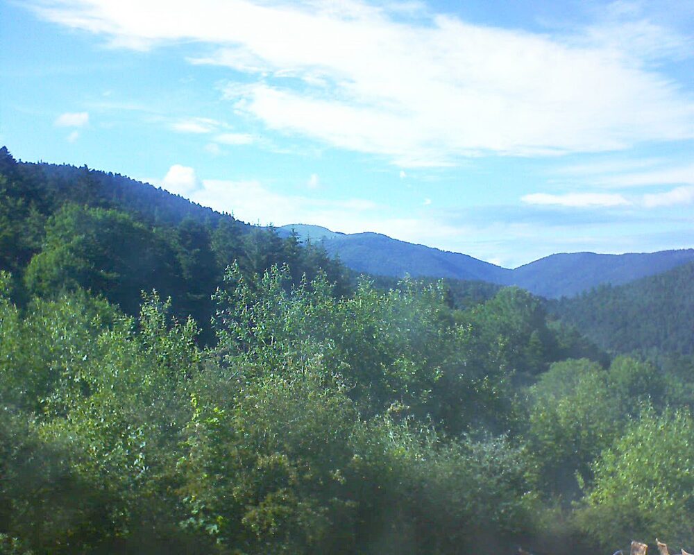 Le petit ballon vu depuis le Domaine Langmatt à Murbach le 15.06.2024 à 18:00 Le petit ballon (Alsace, Vosges) le 15.06.2024 à 18:00