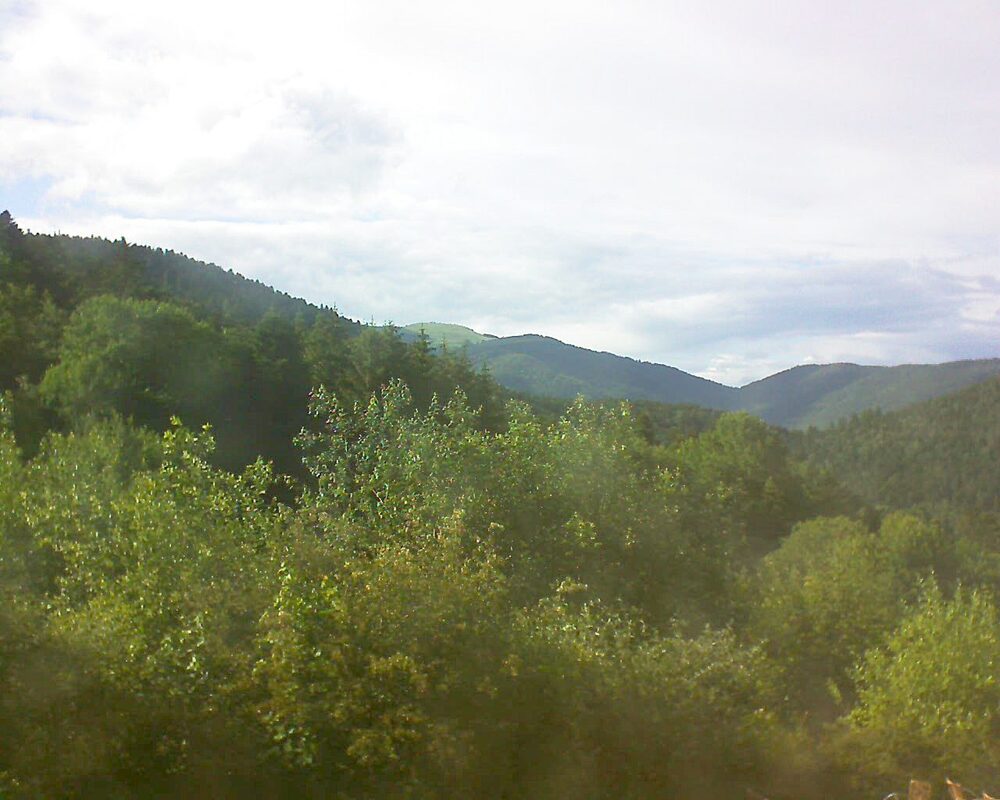 Le petit ballon vu depuis le Domaine Langmatt à Murbach le 15.06.2024 à 18:30 Le petit ballon (Alsace, Vosges) le 15.06.2024 à 18:30
