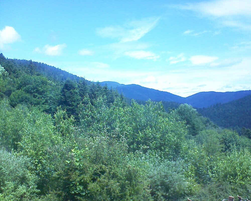 Le petit ballon vu depuis le Domaine Langmatt à Murbach le 16.06.2024 à 12:15 Le petit ballon (Alsace, Vosges) le 16.06.2024 à 12:15