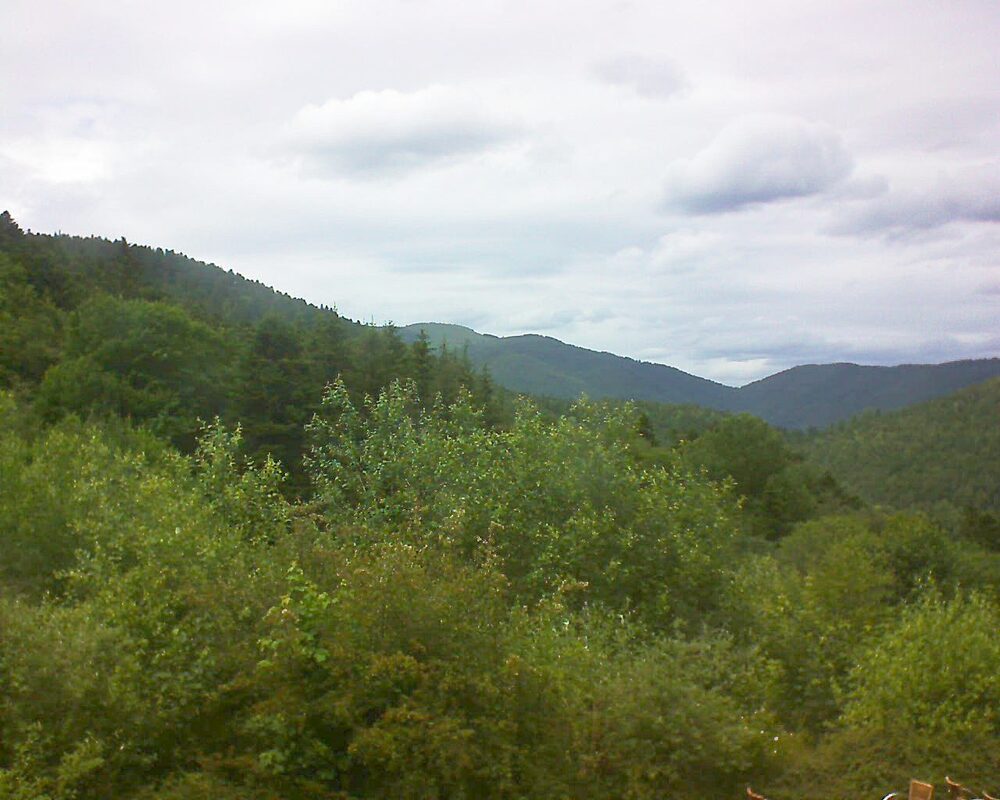 Le petit ballon (Alsace, Vosges) le 16.06.2024 à 15:00