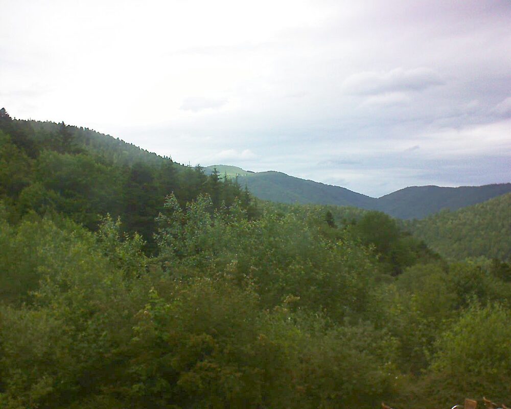 Le petit ballon vu depuis le Domaine Langmatt à Murbach le 16.06.2024 à 15:30 Le petit ballon (Alsace, Vosges) le 16.06.2024 à 15:30