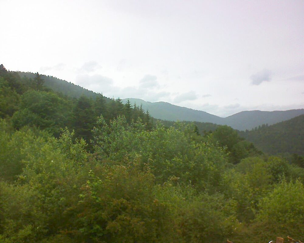 Le petit ballon (Alsace, Vosges) le 17.06.2024 à 12:00