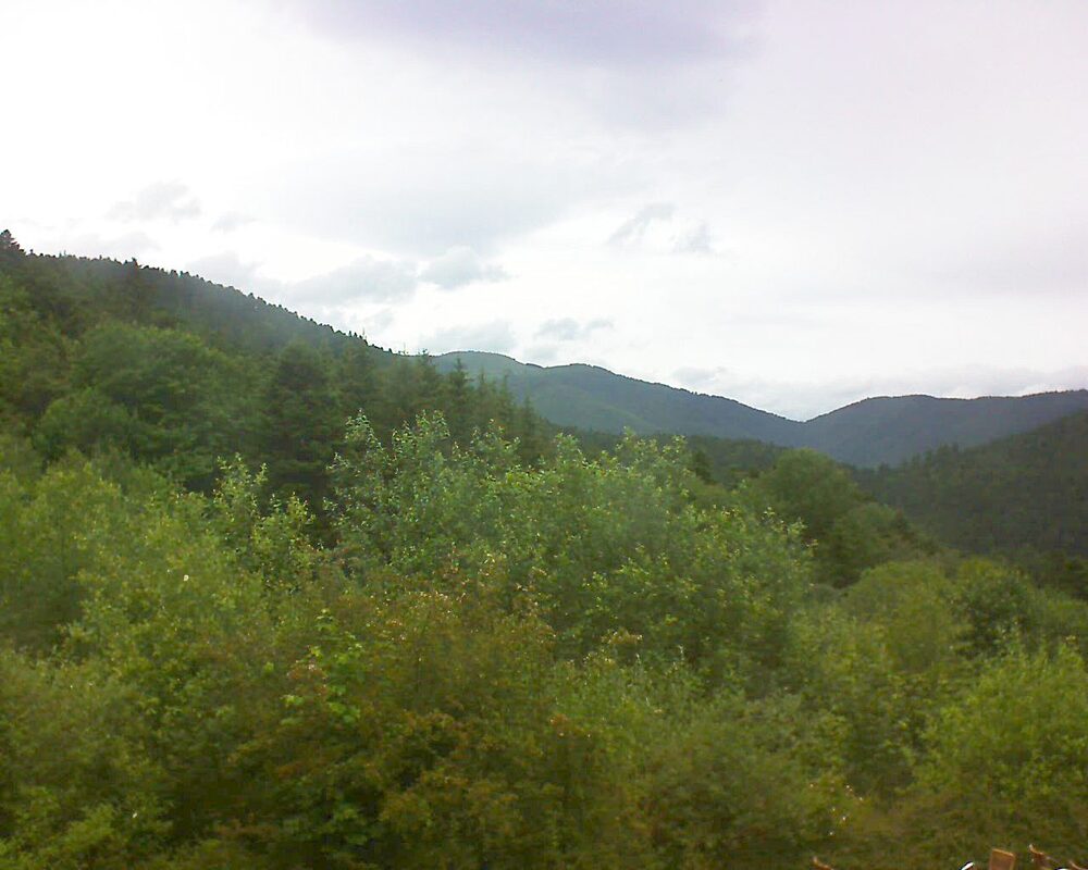 Le petit ballon vu depuis le Domaine Langmatt à Murbach le 17.06.2024 à 12:15 Le petit ballon (Alsace, Vosges) le 17.06.2024 à 12:15