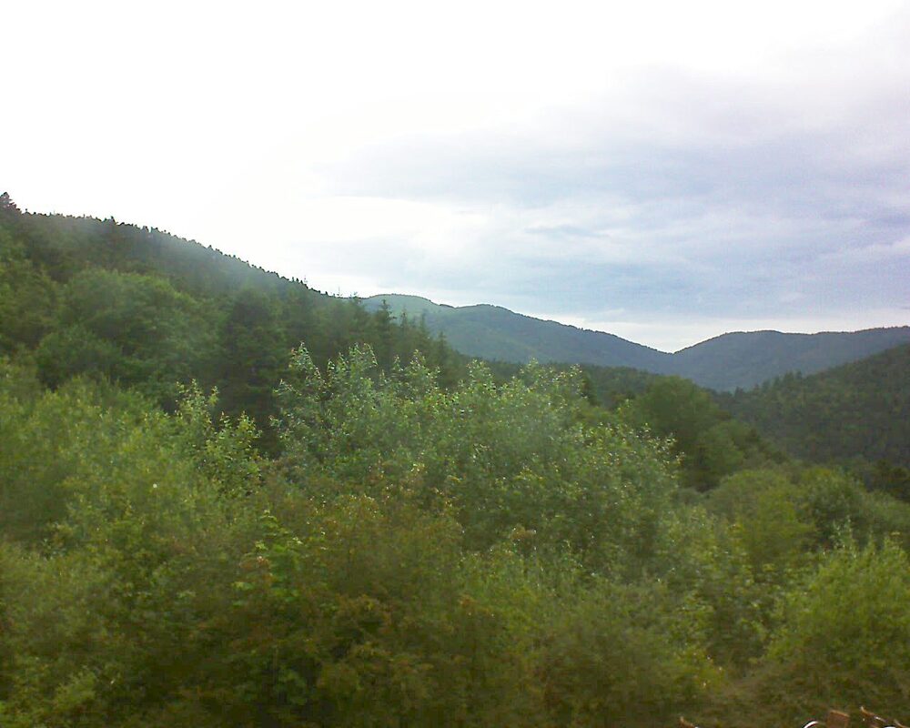 Le petit ballon vu depuis le Domaine Langmatt à Murbach le 17.06.2024 à 15:00 Le petit ballon (Alsace, Vosges) le 17.06.2024 à 15:00