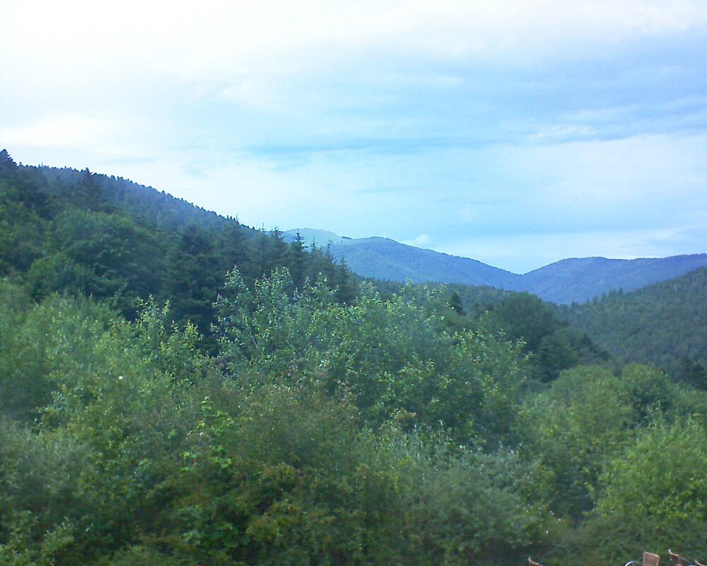 Le petit ballon vu depuis le Domaine Langmatt à Murbach le 17.06.2024 à 15:15 Le petit ballon (Alsace, Vosges) le 17.06.2024 à 15:15