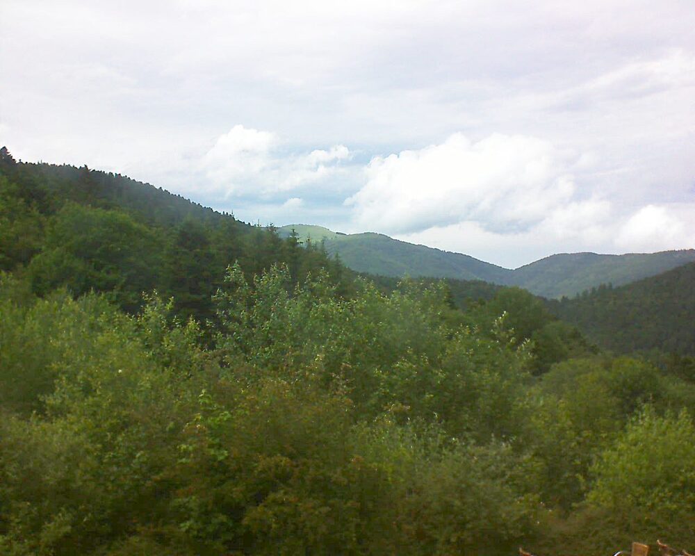 Le petit ballon vu depuis le Domaine Langmatt à Murbach le 17.06.2024 à 15:30 Le petit ballon (Alsace, Vosges) le 17.06.2024 à 15:30