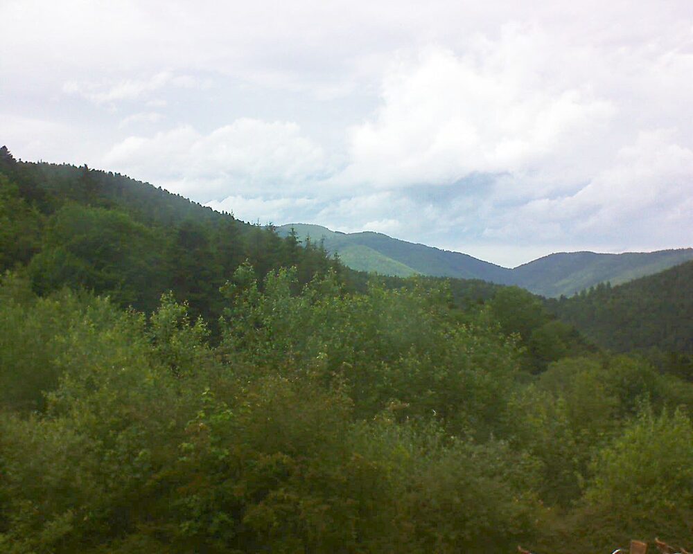Le petit ballon (Alsace, Vosges) le 17.06.2024 à 15:45