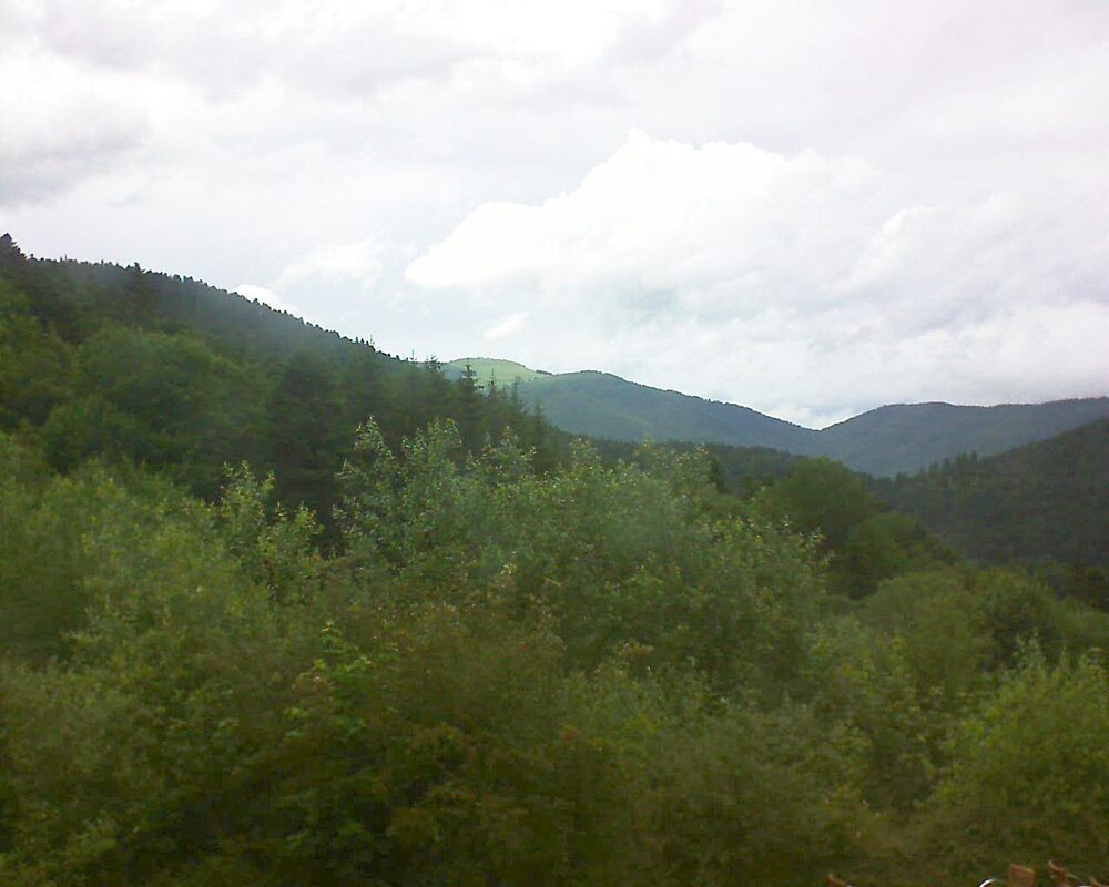 Le petit ballon vu depuis le Domaine Langmatt à Murbach le 17.06.2024 à 17:15 Le petit ballon (Alsace, Vosges) le 17.06.2024 à 17:15