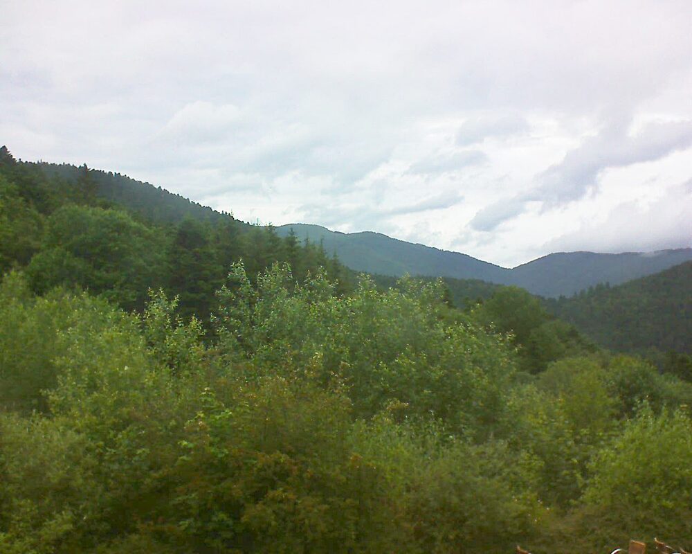 Le petit ballon (Alsace, Vosges) le 17.06.2024 à 18:00