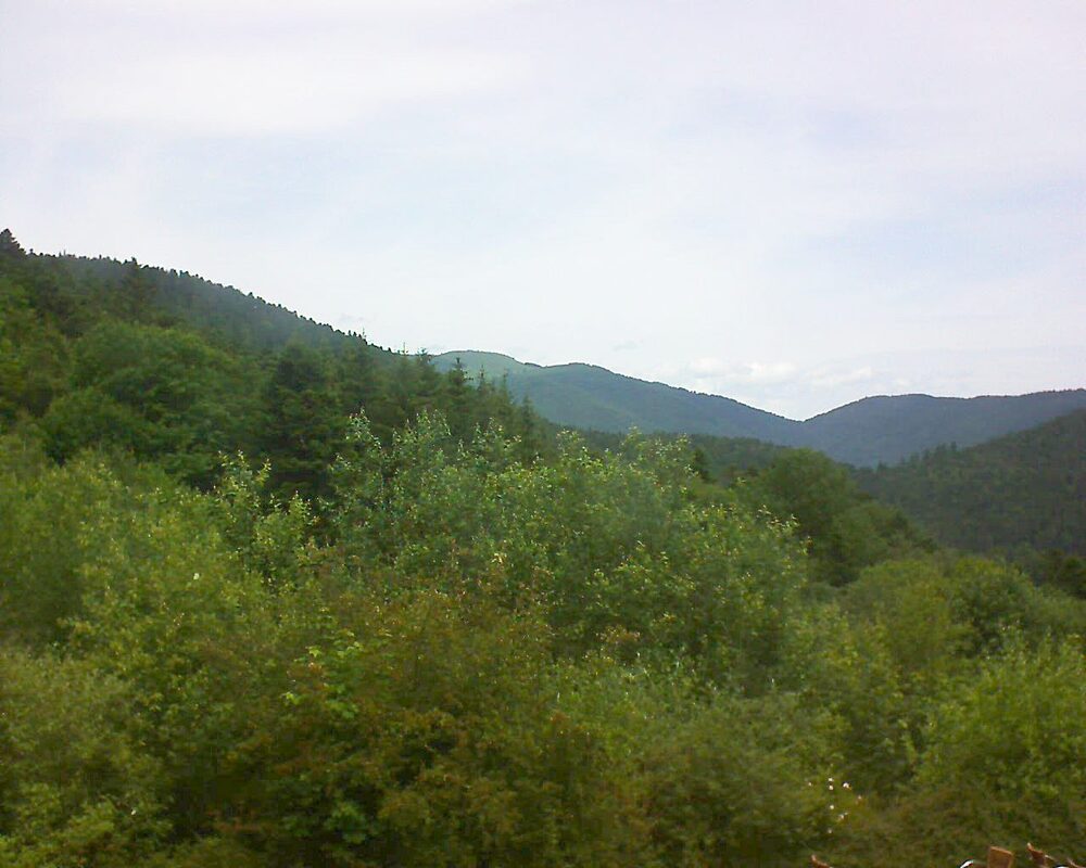 Le petit ballon vu depuis le Domaine Langmatt à Murbach le 18.06.2024 à 12:15 Le petit ballon (Alsace, Vosges) le 18.06.2024 à 12:15