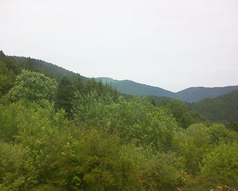 Le petit ballon (Alsace, Vosges) le 18.06.2024 à 13:30