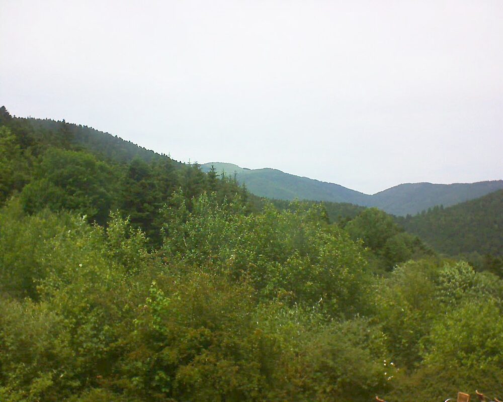 Le petit ballon vu depuis le Domaine Langmatt à Murbach le 18.06.2024 à 14:15 Le petit ballon (Alsace, Vosges) le 18.06.2024 à 14:15