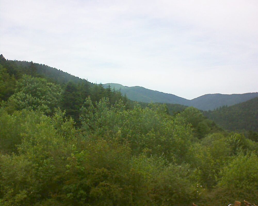 Le petit ballon vu depuis le Domaine Langmatt à Murbach le 18.06.2024 à 15:00 Le petit ballon (Alsace, Vosges) le 18.06.2024 à 15:00