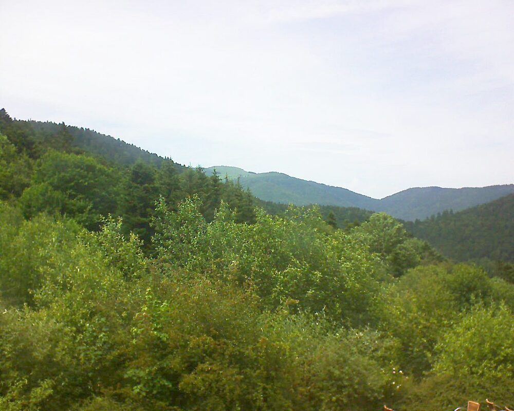 Le petit ballon vu depuis le Domaine Langmatt à Murbach le 18.06.2024 à 15:15 Le petit ballon (Alsace, Vosges) le 18.06.2024 à 15:15