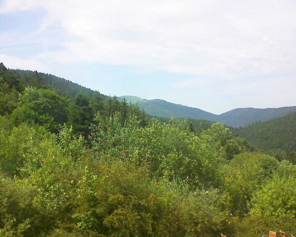 Le petit ballon vu depuis le Domaine Langmatt à Murbach le 18.06.2024 à 15:45 Le petit ballon (Alsace, Vosges) le 18.06.2024 à 15:45
