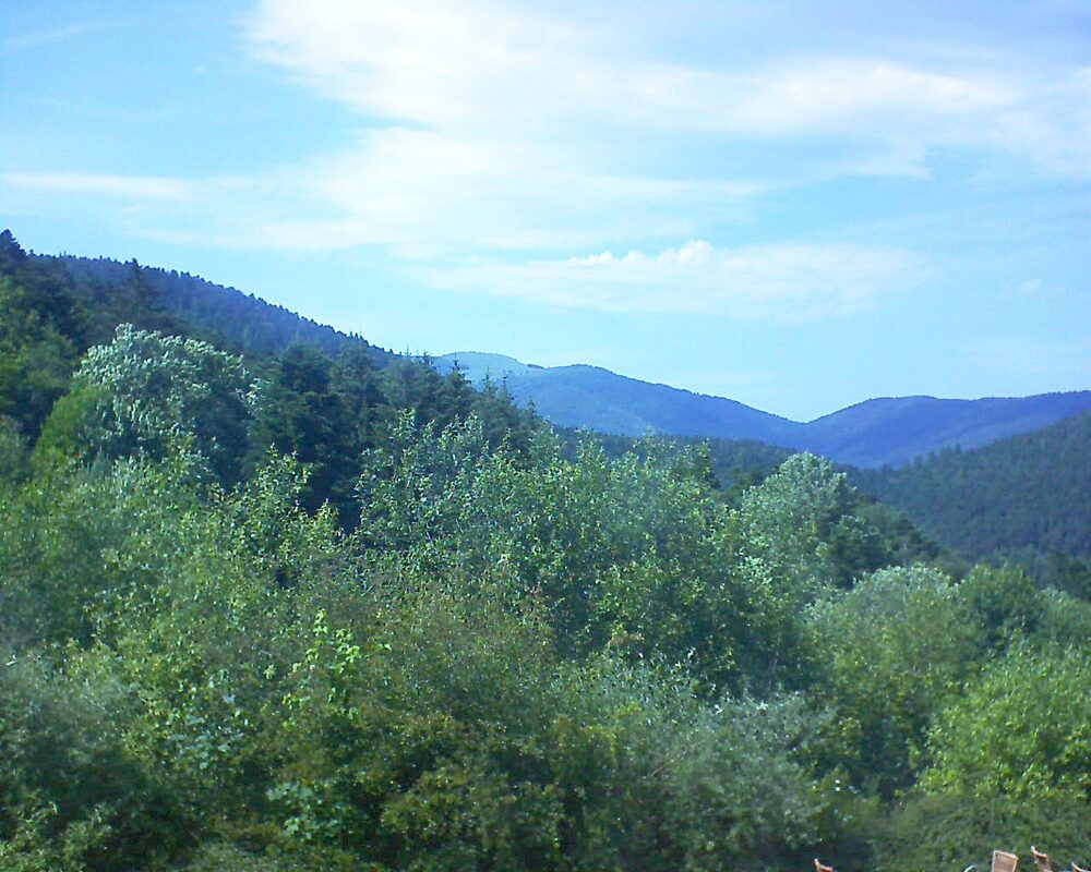 Le petit ballon (Alsace, Vosges) le 18.06.2024 à 16:00
