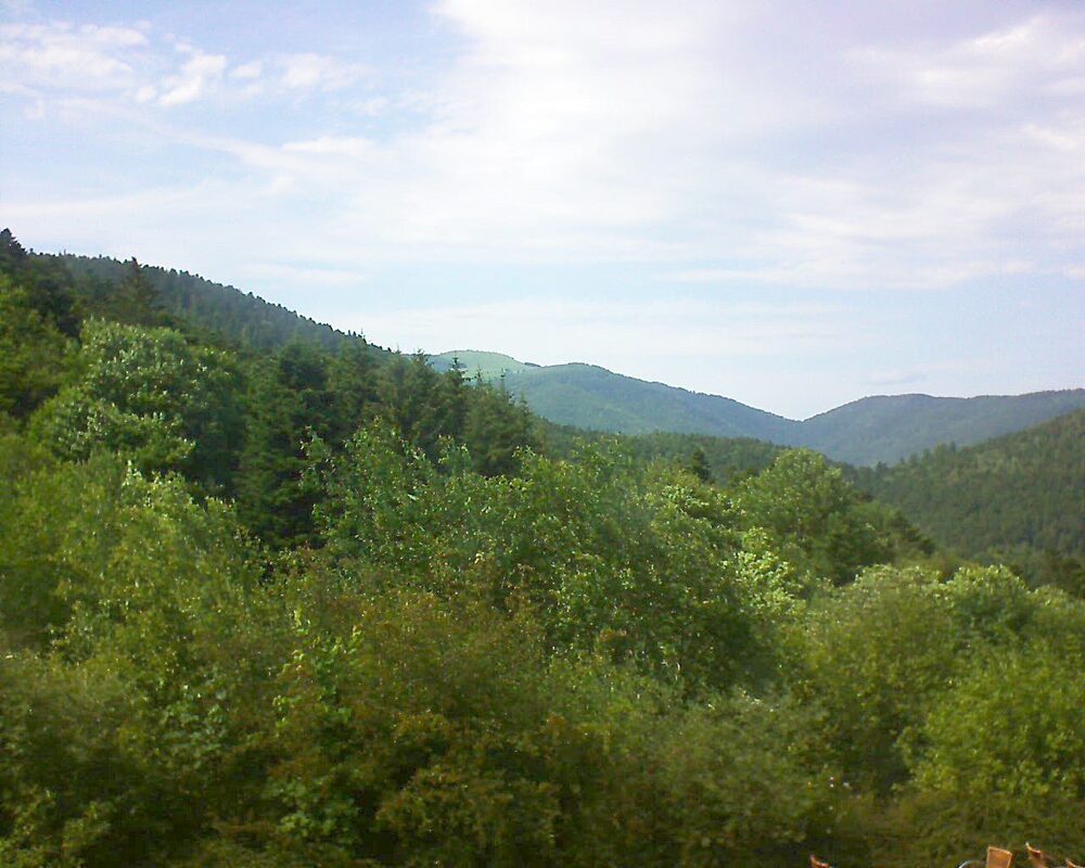 Le petit ballon vu depuis le Domaine Langmatt à Murbach le 18.06.2024 à 16:15 Le petit ballon (Alsace, Vosges) le 18.06.2024 à 16:15