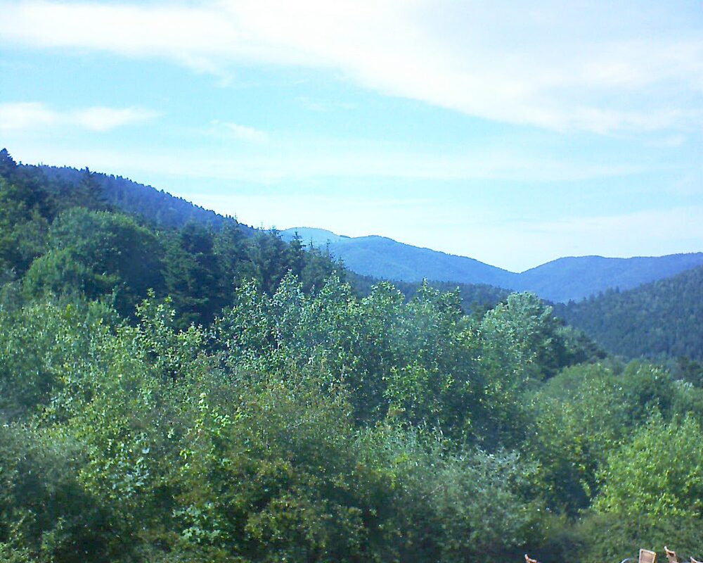 Le petit ballon vu depuis le Domaine Langmatt à Murbach le 18.06.2024 à 16:30 Le petit ballon (Alsace, Vosges) le 18.06.2024 à 16:30
