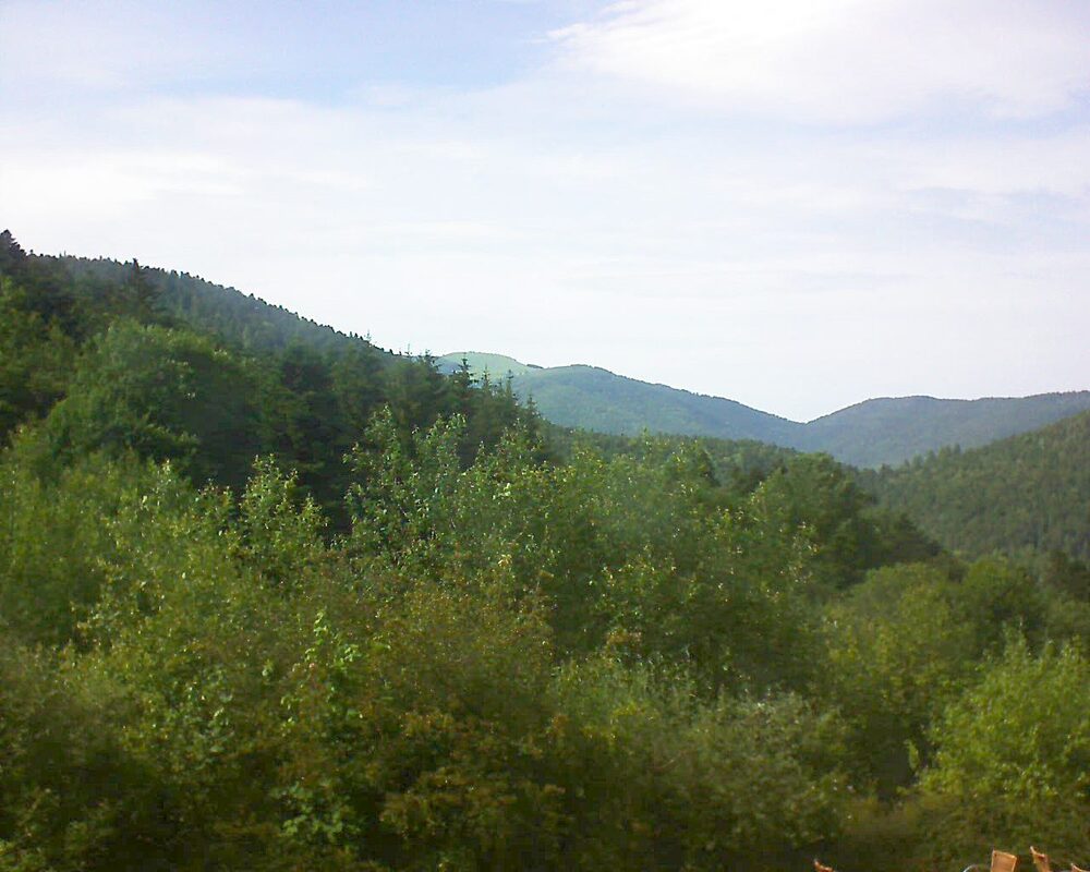 Le petit ballon vu depuis le Domaine Langmatt à Murbach le 18.06.2024 à 17:00 Le petit ballon (Alsace, Vosges) le 18.06.2024 à 17:00
