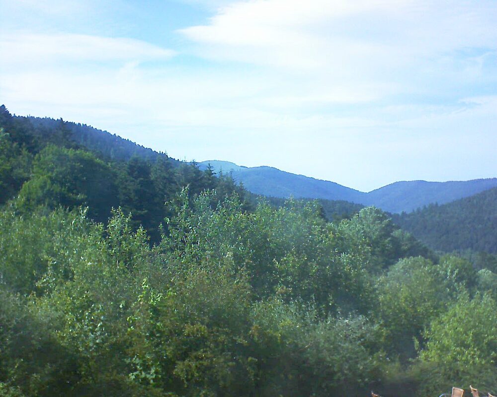Le petit ballon (Alsace, Vosges) le 18.06.2024 à 17:15