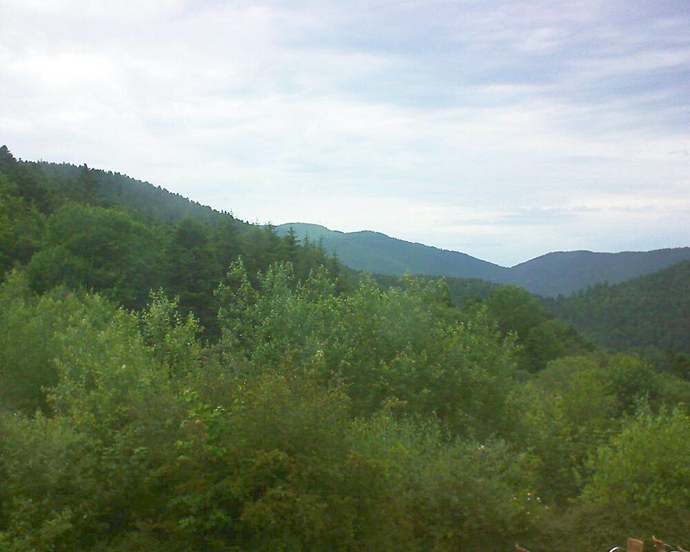Le petit ballon (Alsace, Vosges) le 18.06.2024 à 20:00