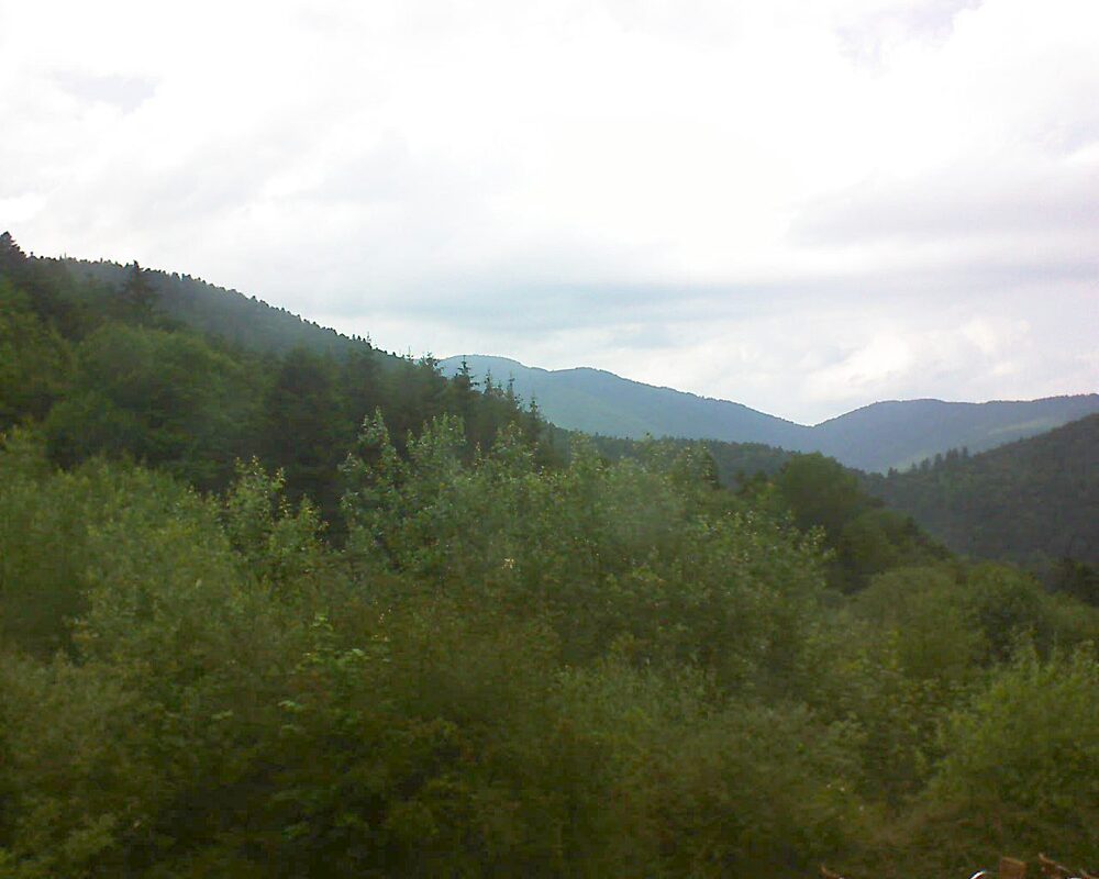 Le petit ballon vu depuis le Domaine Langmatt à Murbach le 19.06.2024 à 15:15 Le petit ballon (Alsace, Vosges) le 19.06.2024 à 15:15