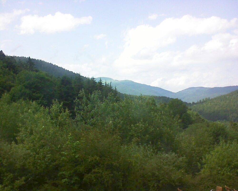 Le petit ballon (Alsace, Vosges) le 19.06.2024 à 16:00