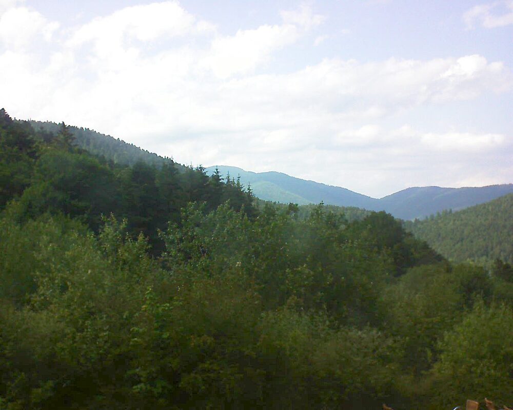 Le petit ballon (Alsace, Vosges) le 19.06.2024 à 17:00