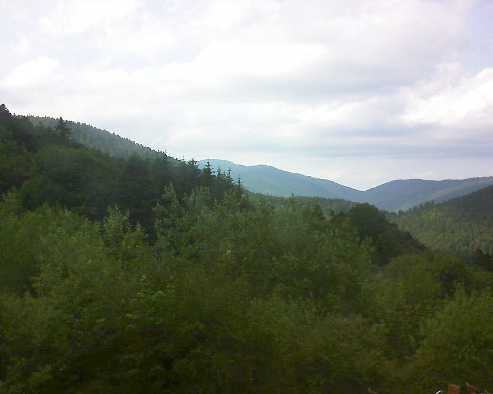 Le petit ballon (Alsace, Vosges) le 19.06.2024 à 17:30