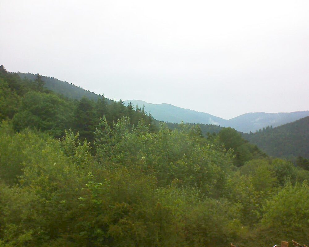 Le petit ballon (Alsace, Vosges) le 20.06.2024 à 12:45
