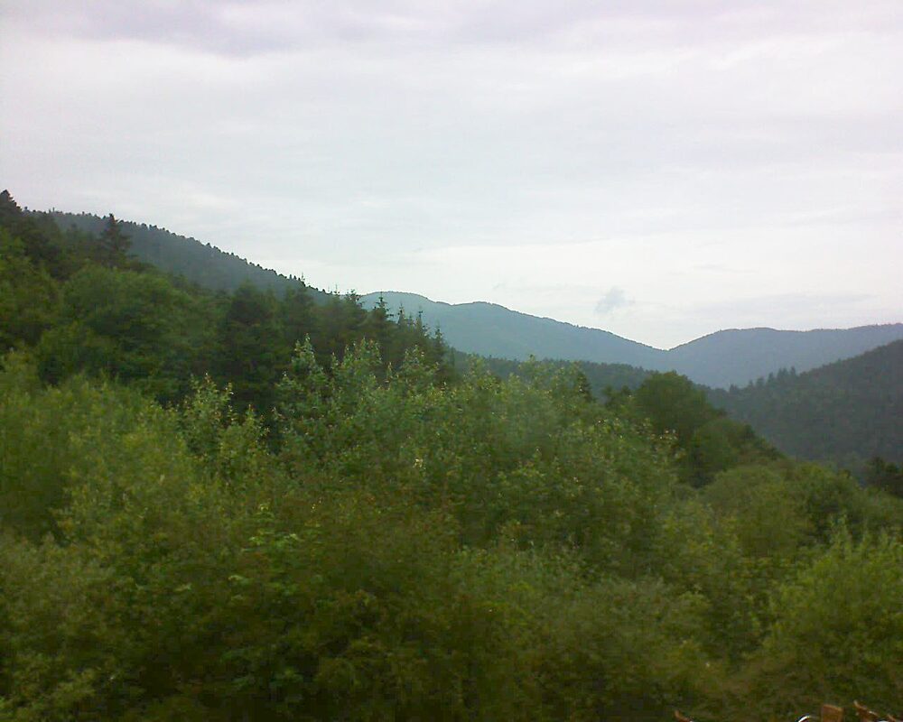 Le petit ballon (Alsace, Vosges) le 20.06.2024 à 15:00