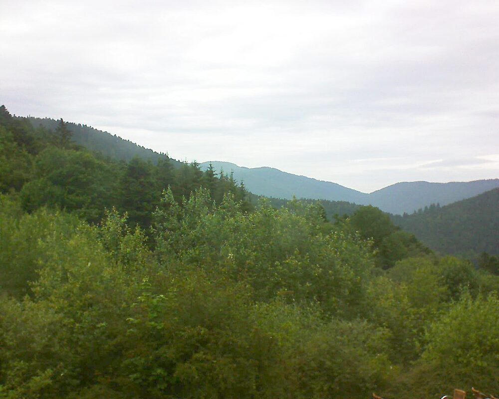 Le petit ballon vu depuis le Domaine Langmatt à Murbach le 20.06.2024 à 15:15 Le petit ballon (Alsace, Vosges) le 20.06.2024 à 15:15