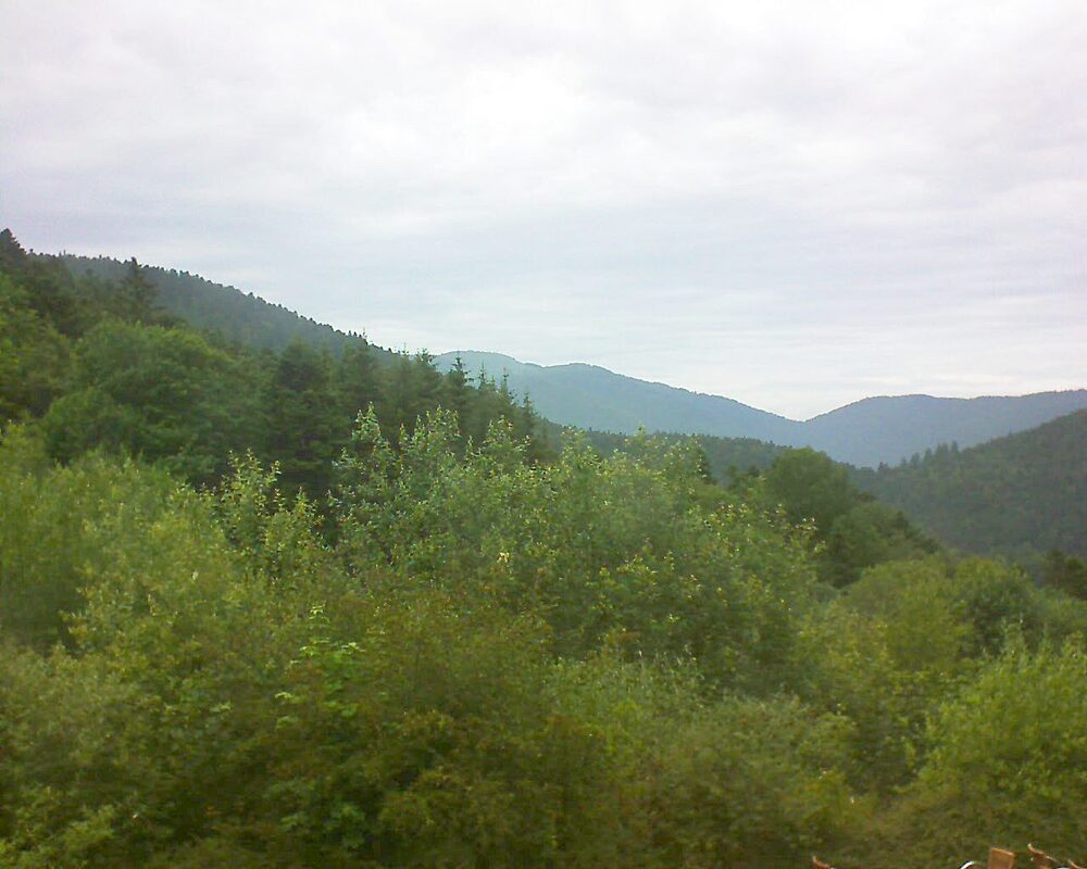 Le petit ballon vu depuis le Domaine Langmatt à Murbach le 20.06.2024 à 15:30 Le petit ballon (Alsace, Vosges) le 20.06.2024 à 15:30