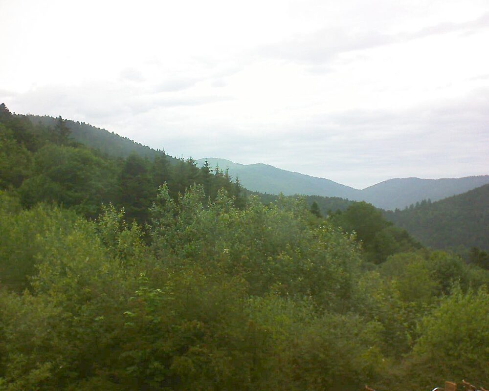 Le petit ballon (Alsace, Vosges) le 20.06.2024 à 16:45
