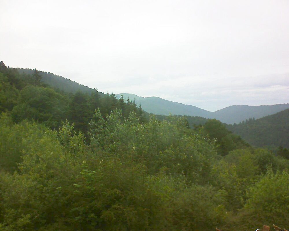 Le petit ballon (Alsace, Vosges) le 20.06.2024 à 17:00