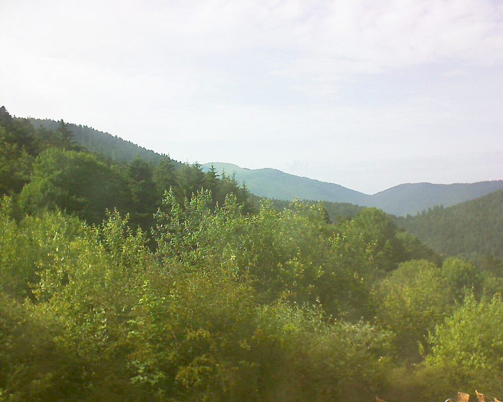 Le petit ballon (Alsace, Vosges) le 20.06.2024 à 18:00