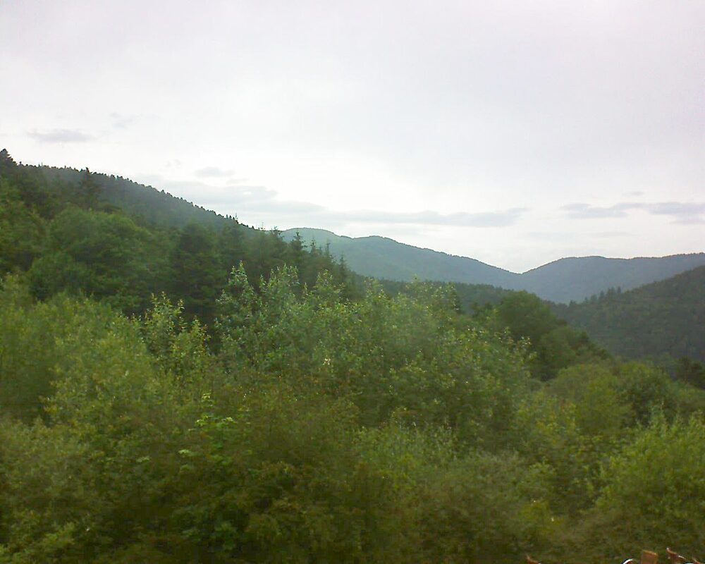 Le petit ballon (Alsace, Vosges) le 20.06.2024 à 19:00