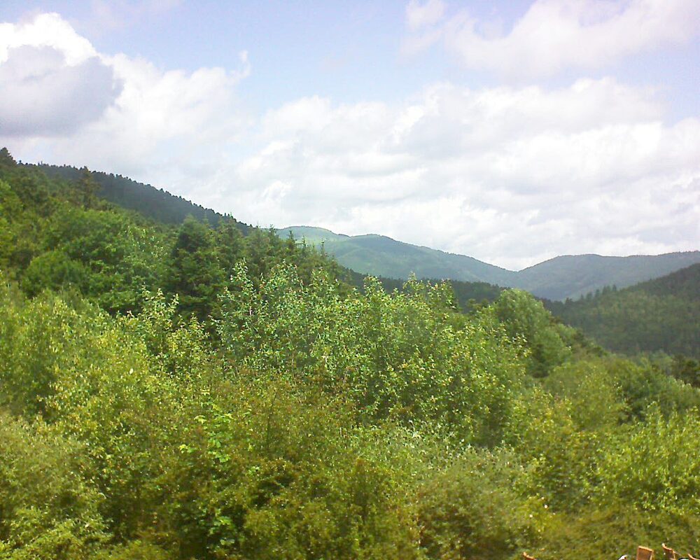 Le petit ballon (Alsace, Vosges) le 21.06.2024 à 12:30