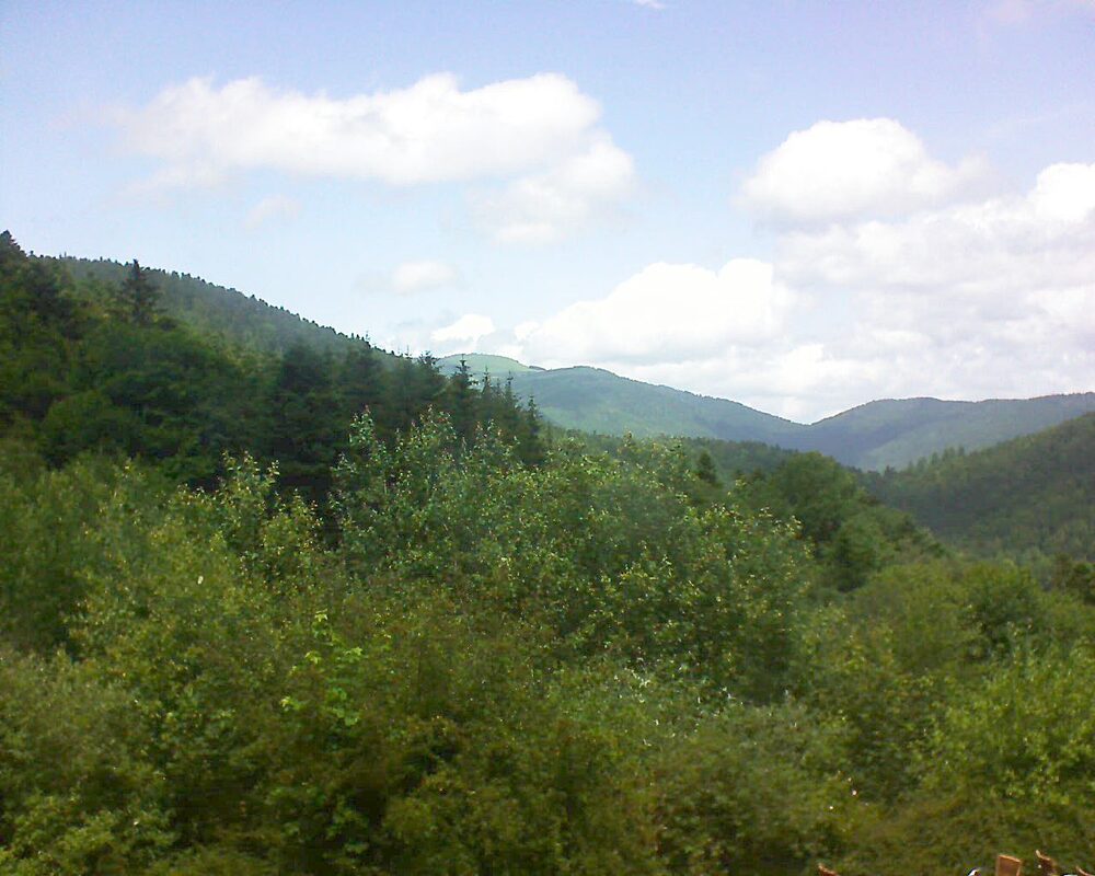 Le petit ballon (Alsace, Vosges) le 21.06.2024 à 13:00