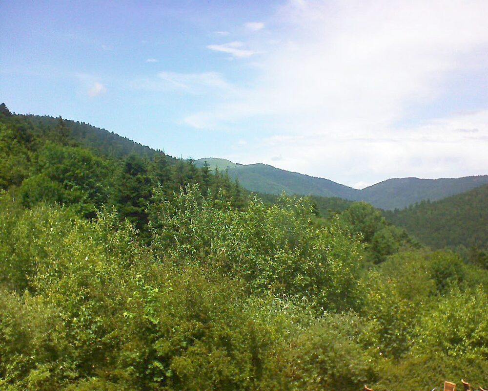 Le petit ballon vu depuis le Domaine Langmatt à Murbach le 21.06.2024 à 14:00 Le petit ballon (Alsace, Vosges) le 21.06.2024 à 14:00