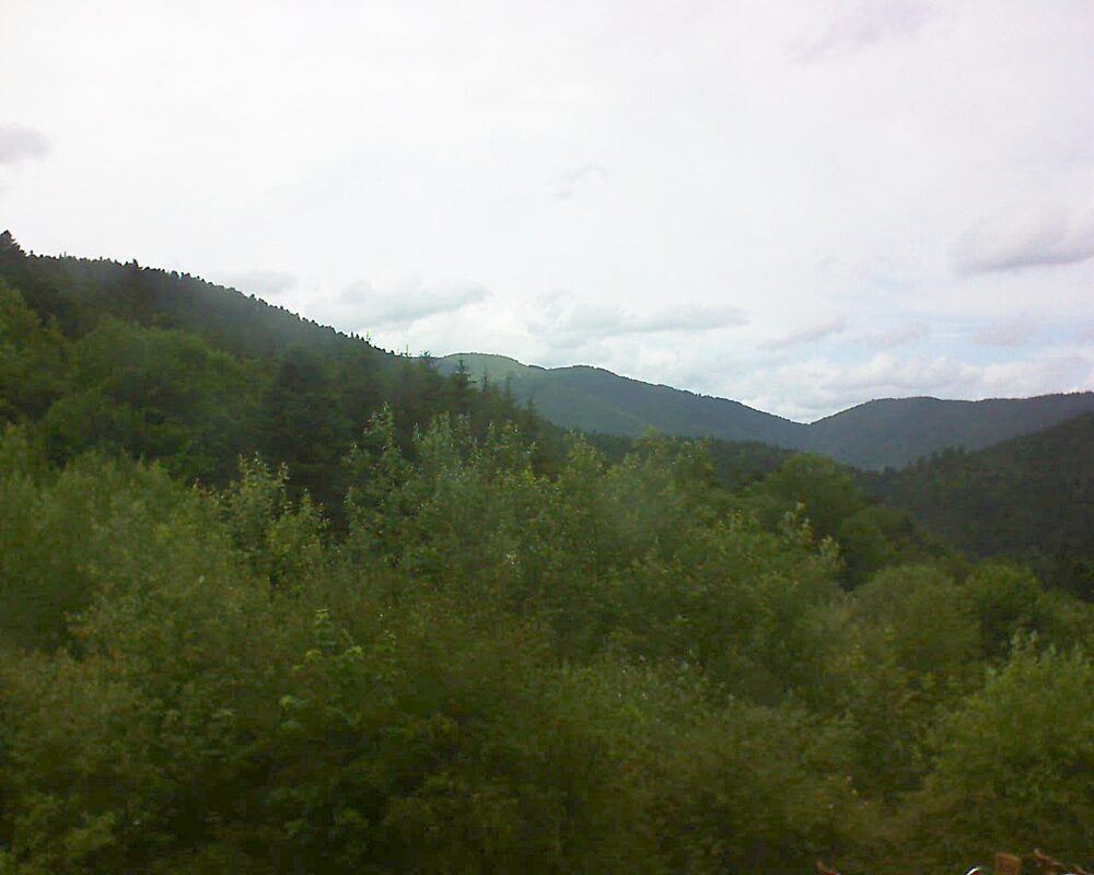 Le petit ballon (Alsace, Vosges) le 21.06.2024 à 15:00