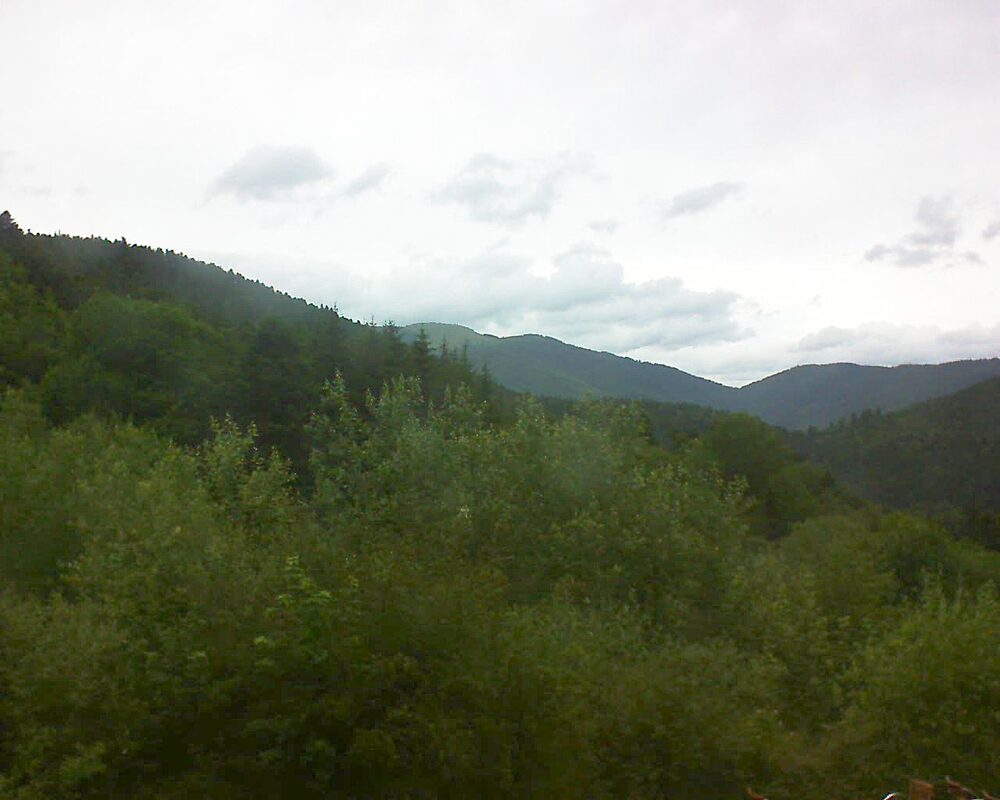 Le petit ballon (Alsace, Vosges) le 21.06.2024 à 15:45