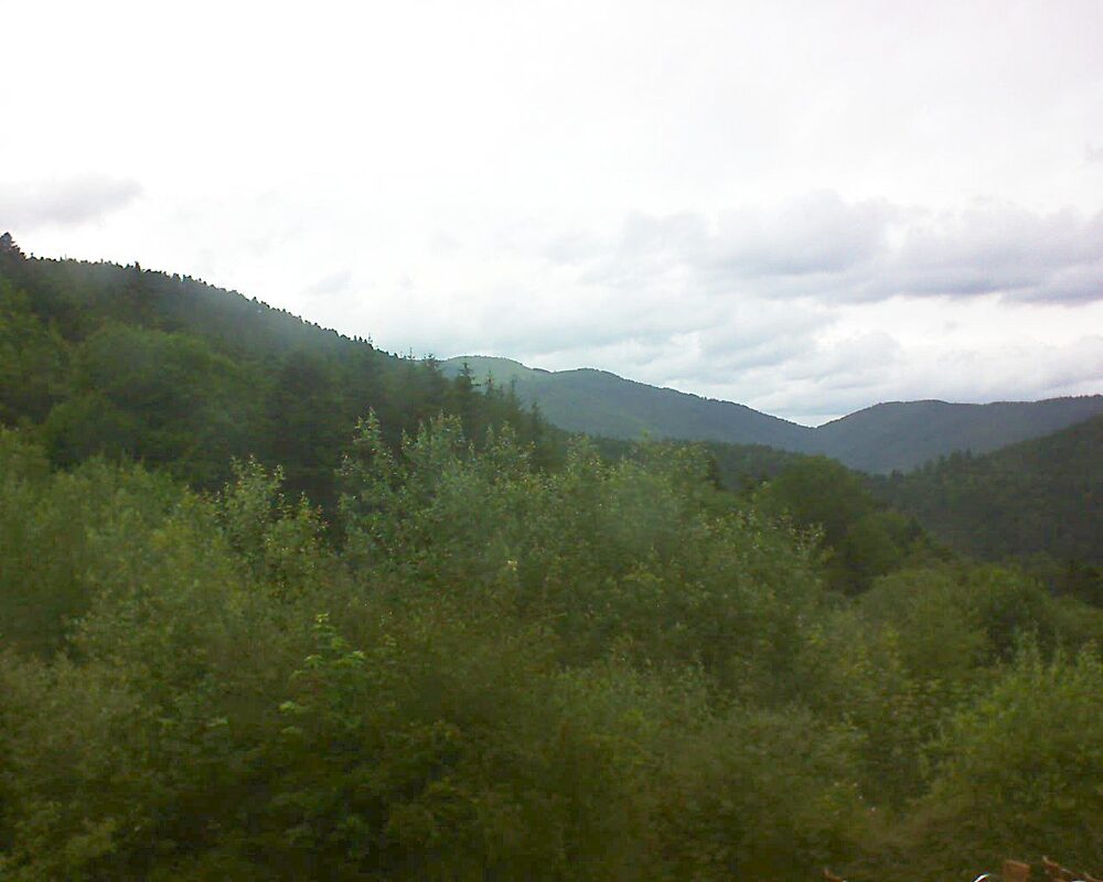 Le petit ballon (Alsace, Vosges) le 21.06.2024 à 16:00