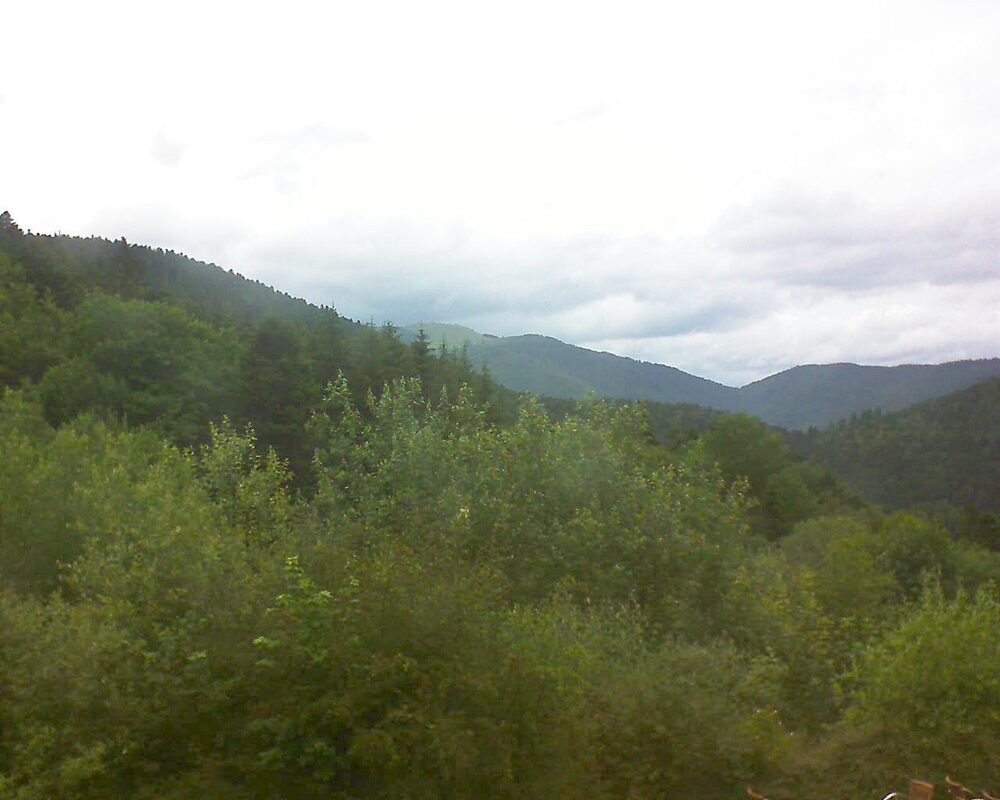 Le petit ballon (Alsace, Vosges) le 21.06.2024 à 16:30