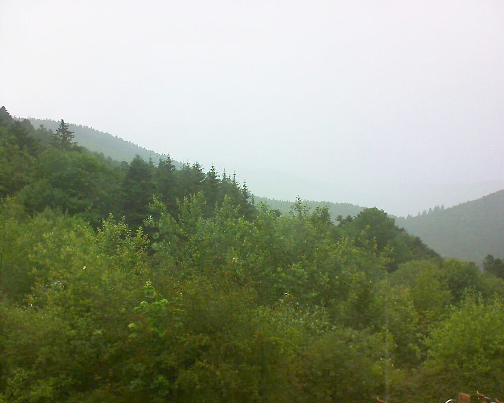 Le petit ballon (Alsace, Vosges) le 21.06.2024 à 17:30