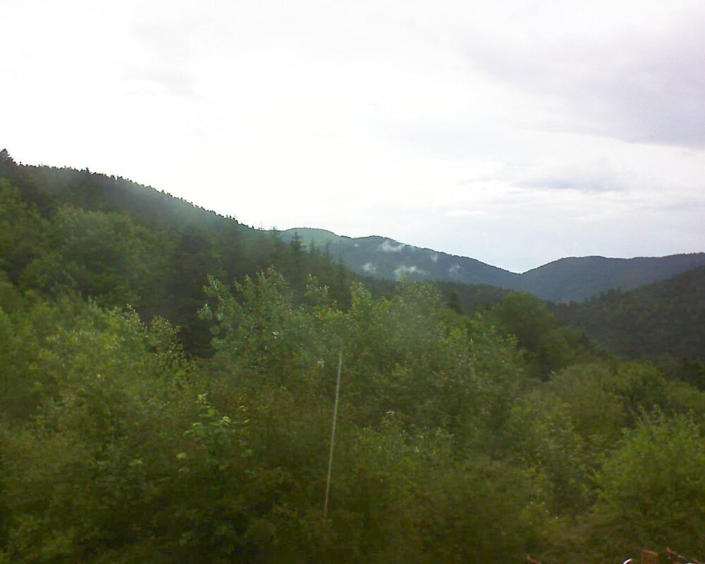 Le petit ballon (Alsace, Vosges) le 21.06.2024 à 18:00