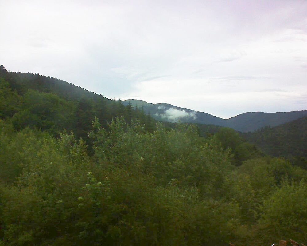 Le petit ballon (Alsace, Vosges) le 21.06.2024 à 18:15