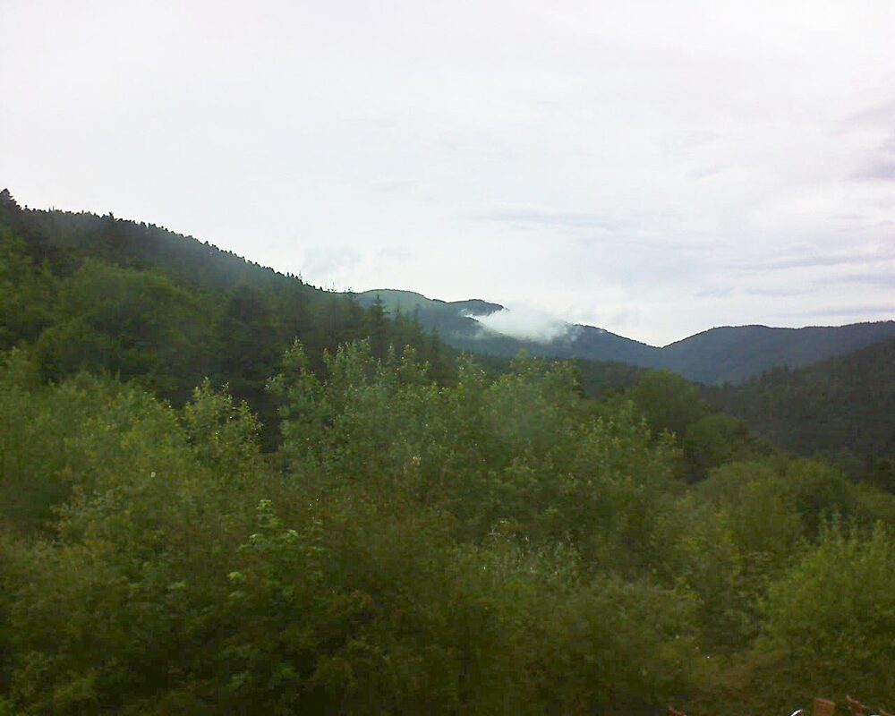 Le petit ballon (Alsace, Vosges) le 21.06.2024 à 18:30